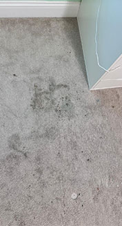 Preguntas y Respuesta 2